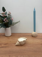 Medium Conch Shell Candle