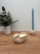 Nautilus Shell Candle