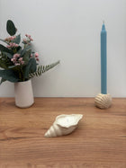 Small Conch Shell Candle